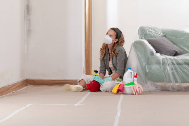 Reliable Mold Remediation contractor in Rapid City, MI by Cheap Mold Removal